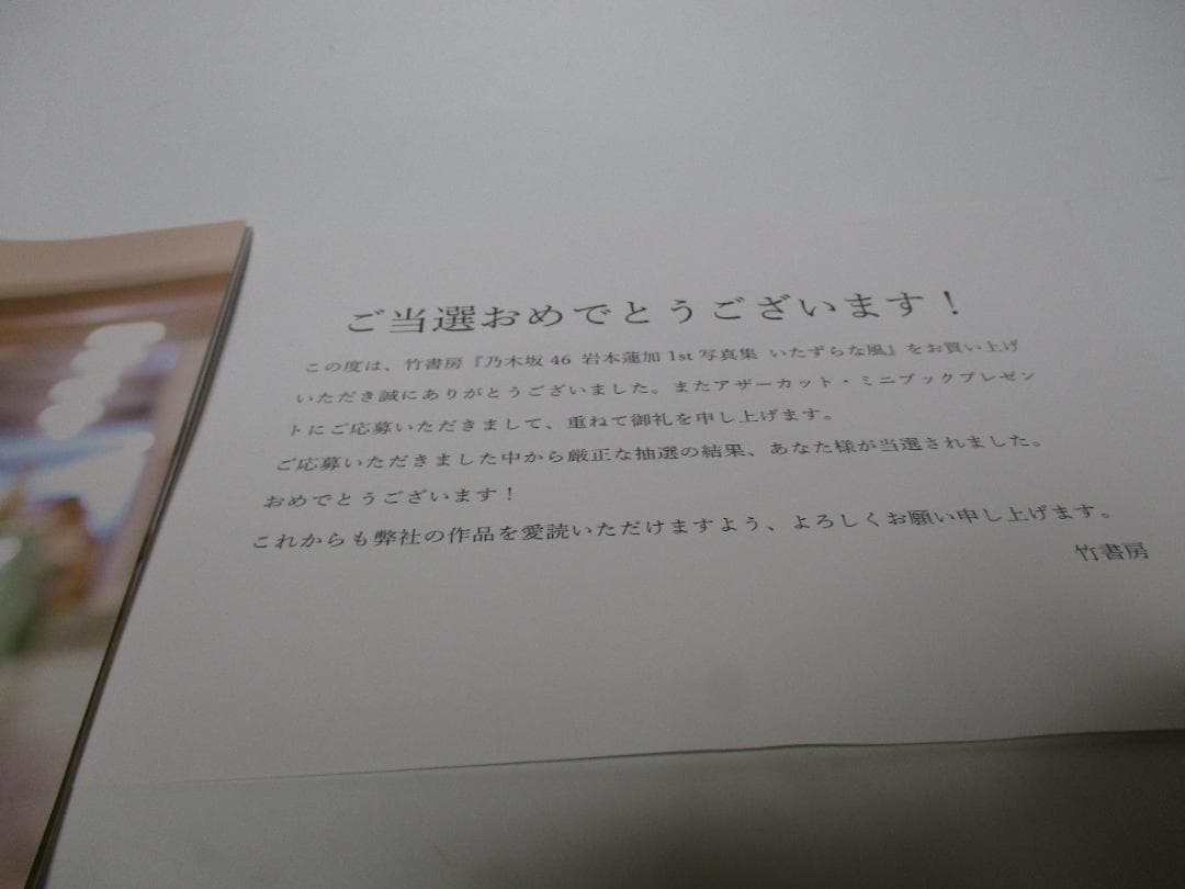 岩本蓮加 写真集 いたずらな風アザーカットミニブック