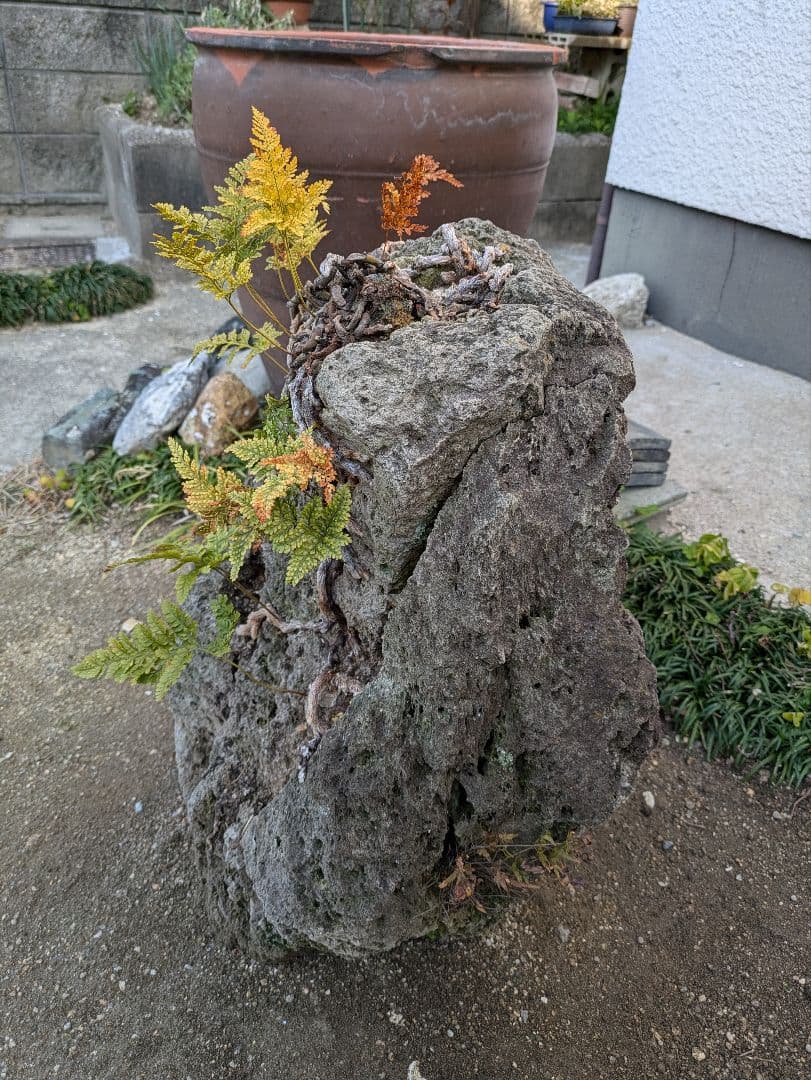 軽石 火山溶岩 引取限定