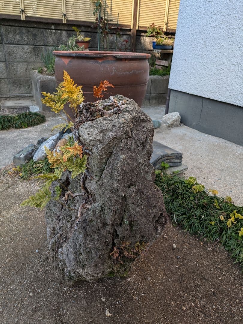 軽石 火山溶岩 引取限定