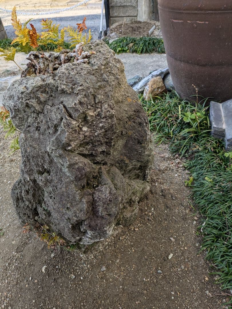 軽石 火山溶岩 引取限定