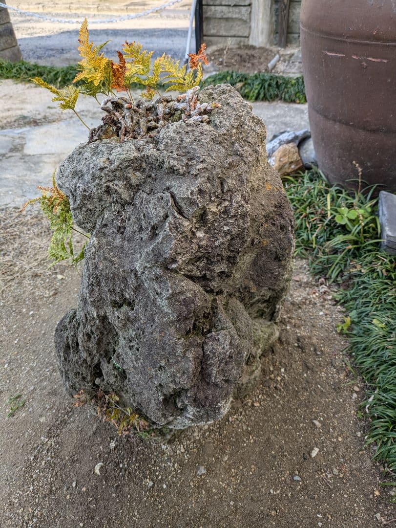 軽石 火山溶岩 引取限定