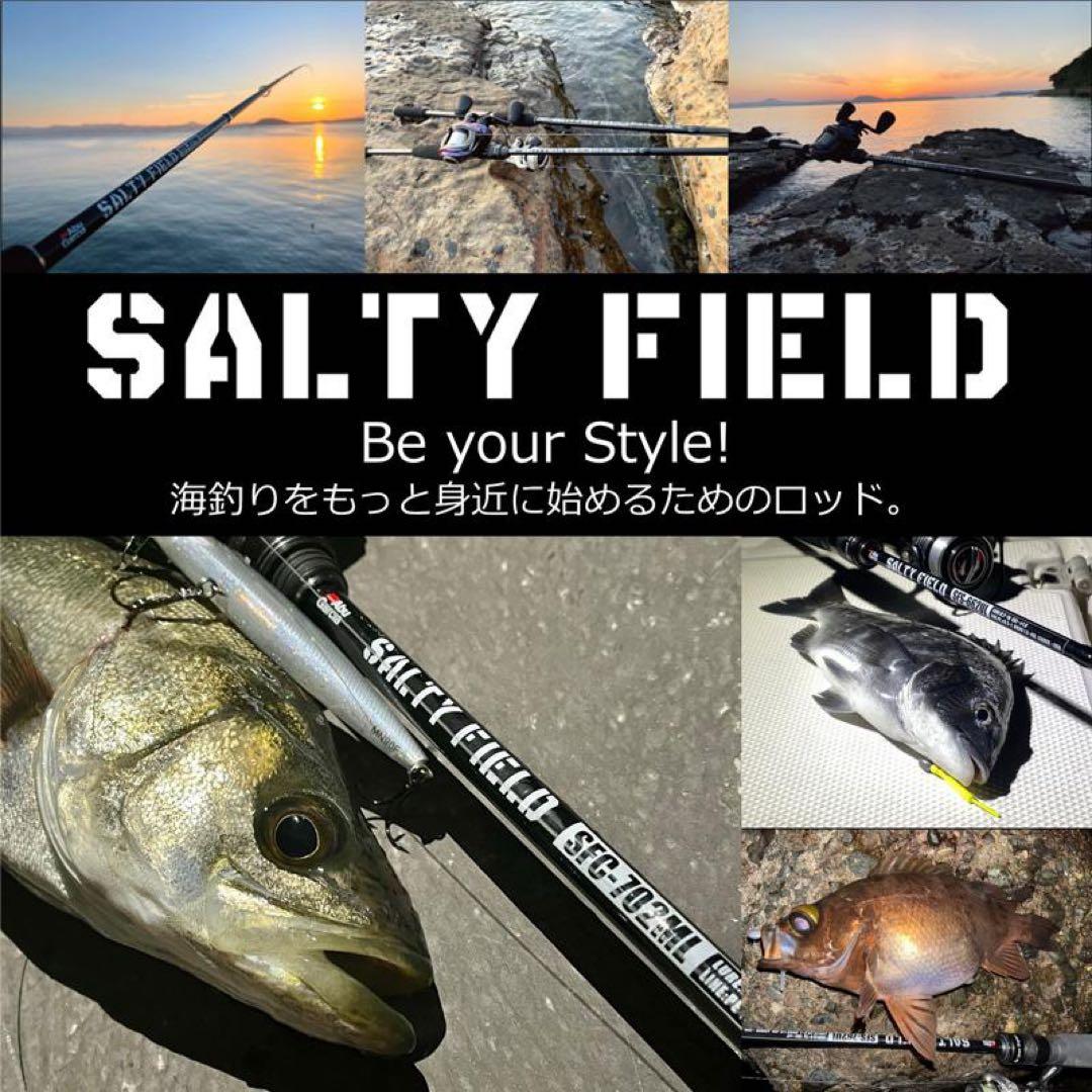 Abu Garcia ロッド ソルティーフィールド SFS 836M TE