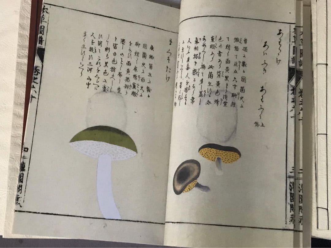 復刻版　本草図譜