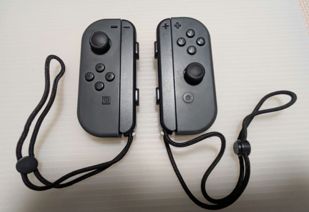 Switch Nintendo Switch グレー　ハードケース付
