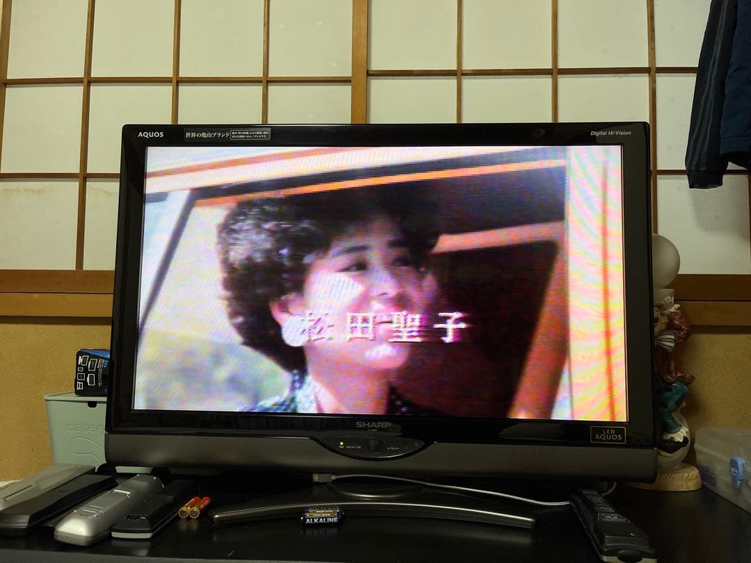 レーザーディスク　カリブの愛のシンフォニー 松田聖子　神田正輝主演　再生確認済