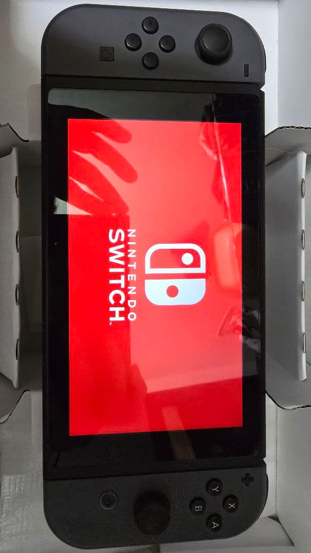 Nintendo Switch グレー 本体＋ケース