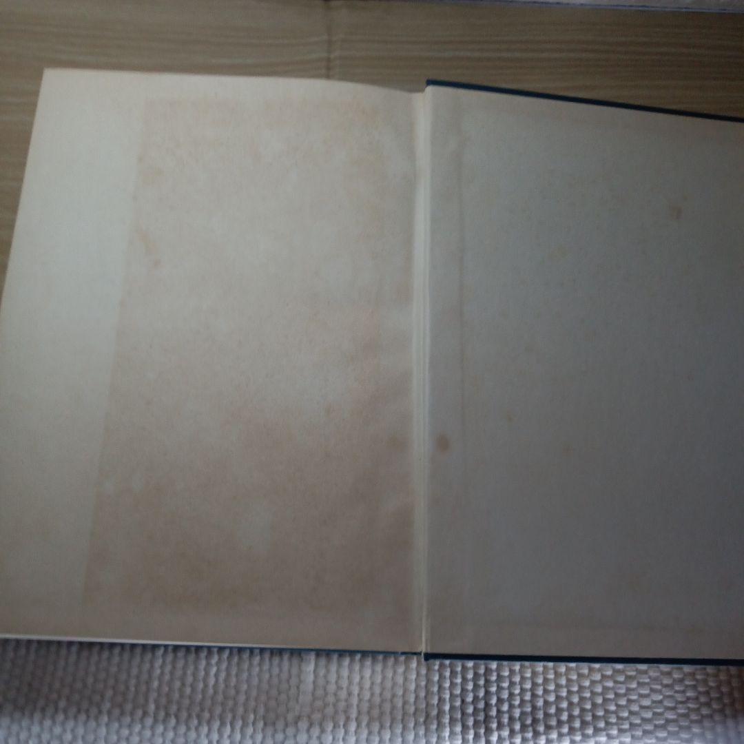 中薬大辞典　上下冊セット