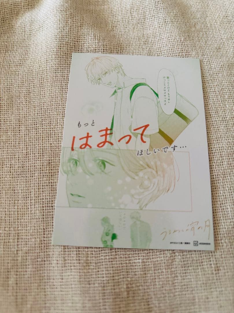 うるわしの宵の月 1-10巻セット やまもり三香 全巻 TSUTAYA特典