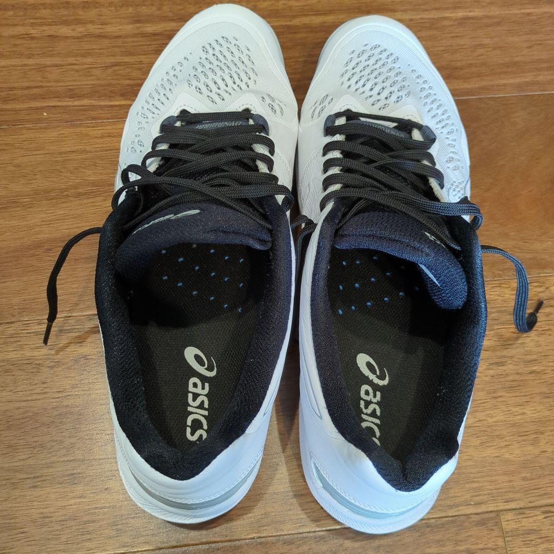 asics スカイエリートFF2 29cm