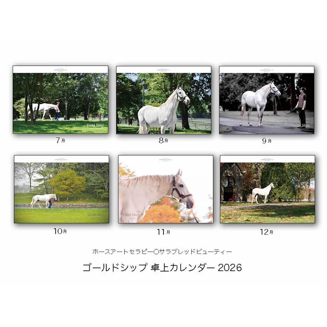 ゴールドシップ♡ 本革/革頭絡キーホルダー＆2026年　卓上カレンダー　未開封
