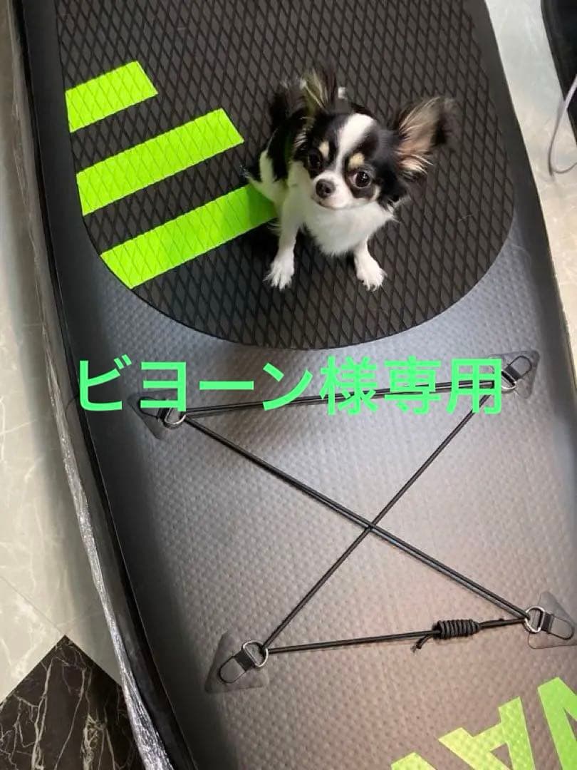 sup，ボード，