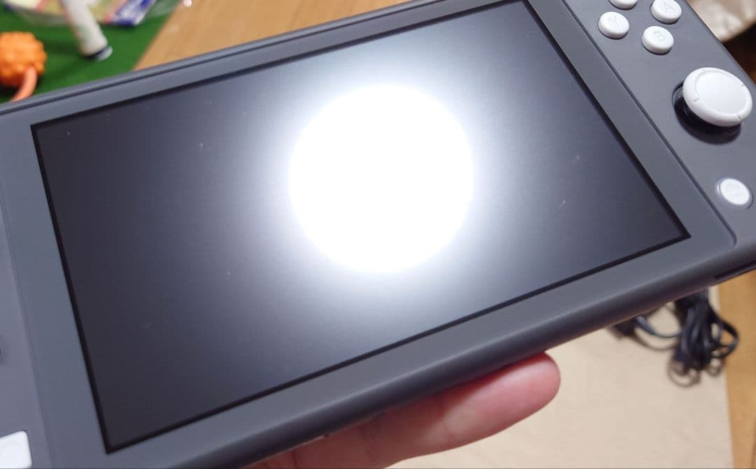 Nintendo Switch Lite グレー 本体（箱、付属品有り）