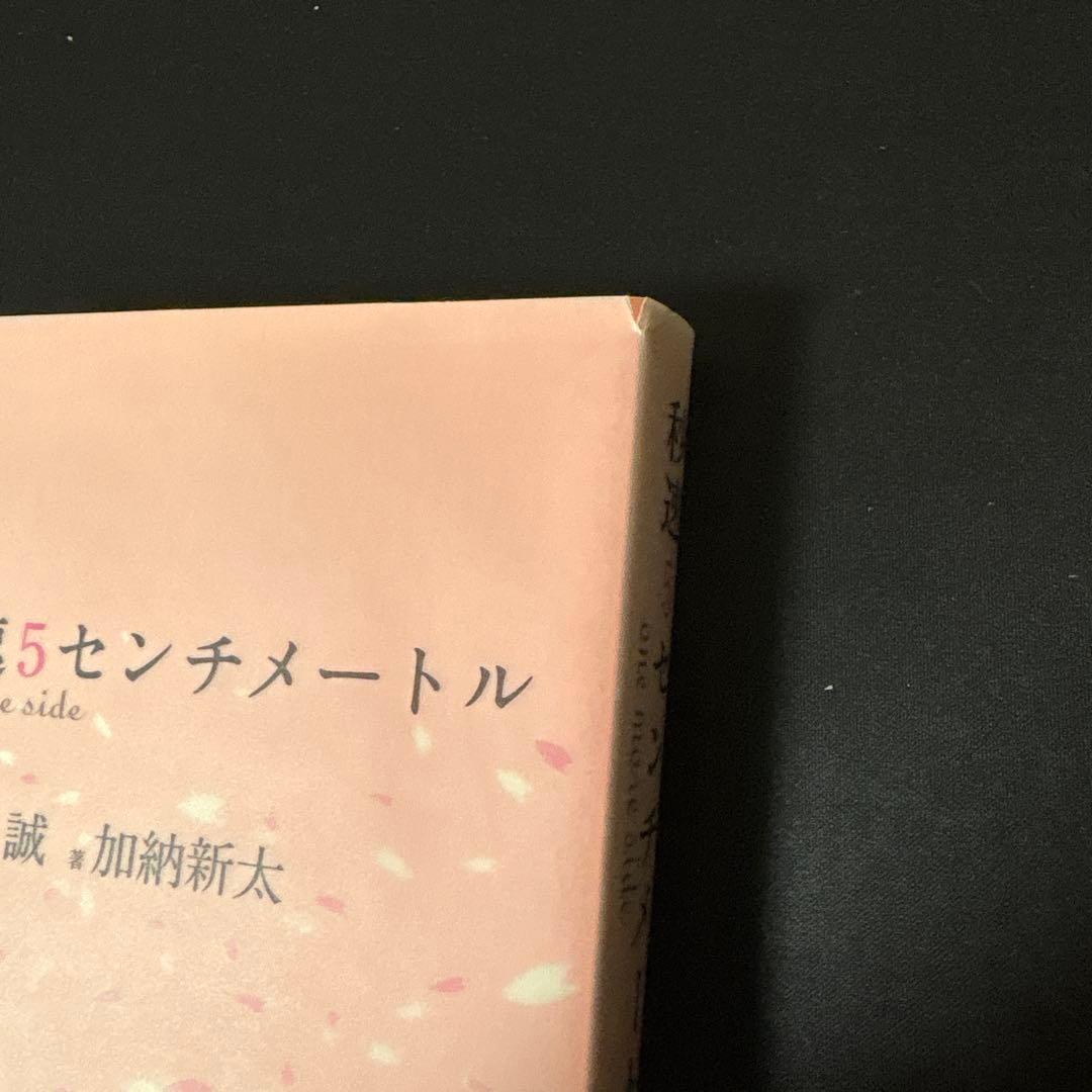 秒速5センチメートル one more side