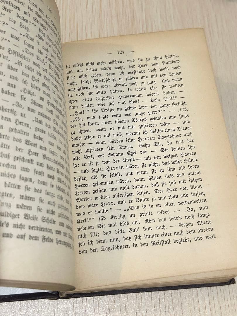 【アンティーク本】ドイツの古書