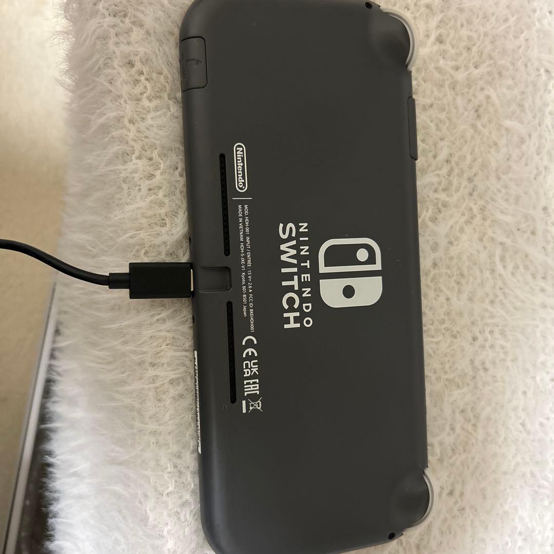 Switchライト本体＋カセットオマケ付