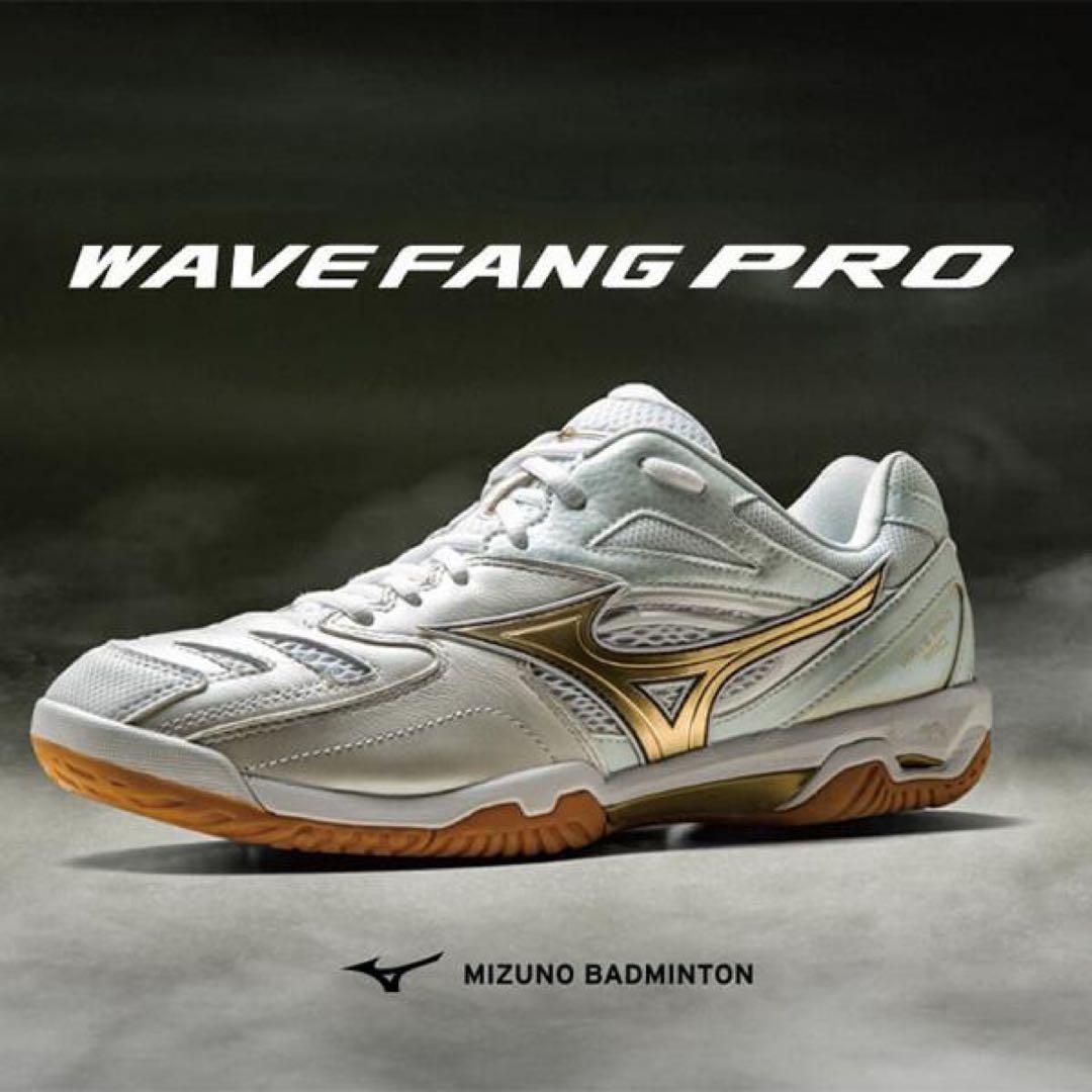 ミズノ WAVE FANG PRO [28.5cm] 天然皮革　値下可