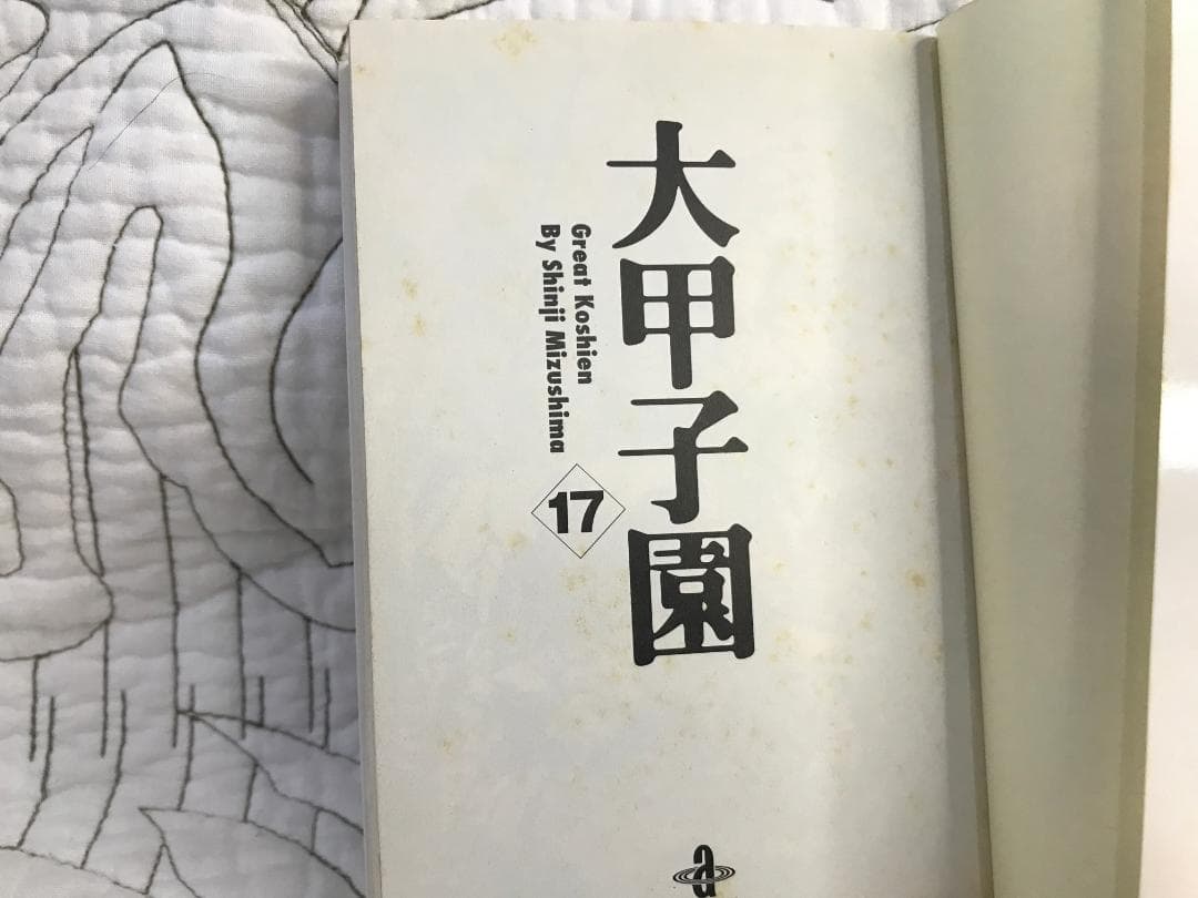 文庫「大甲子園」全17巻セット 水島新司