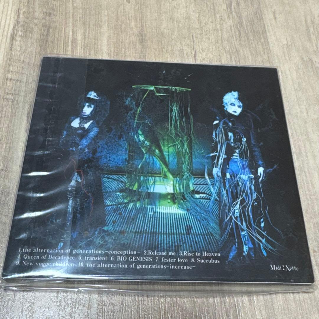 Schwarz Stein CDまとめ売り　kaya ISOLA