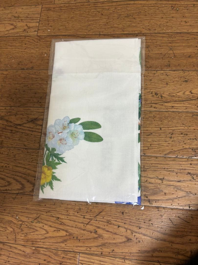アークテリクス 手ぬぐい
