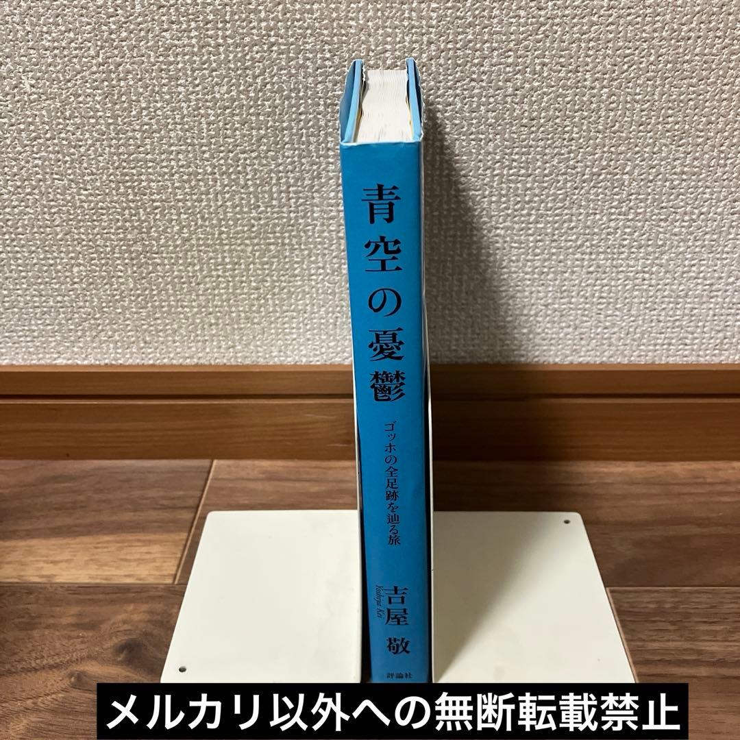 青空の憂鬱 ゴッホの全足跡を辿る旅