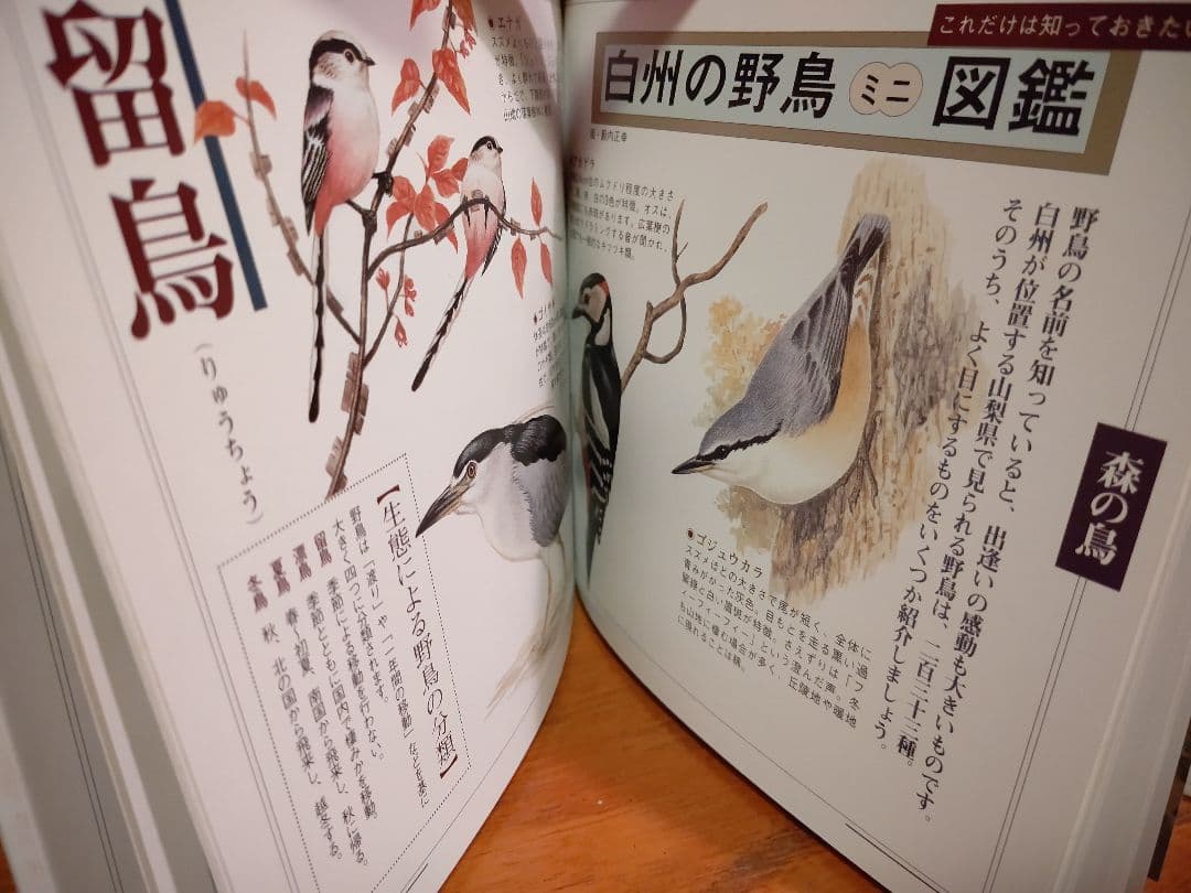 『南アルプス 白州 1』森の水 森の鳥 森のきのこ サントリー白州蒸溜所 稀覯本