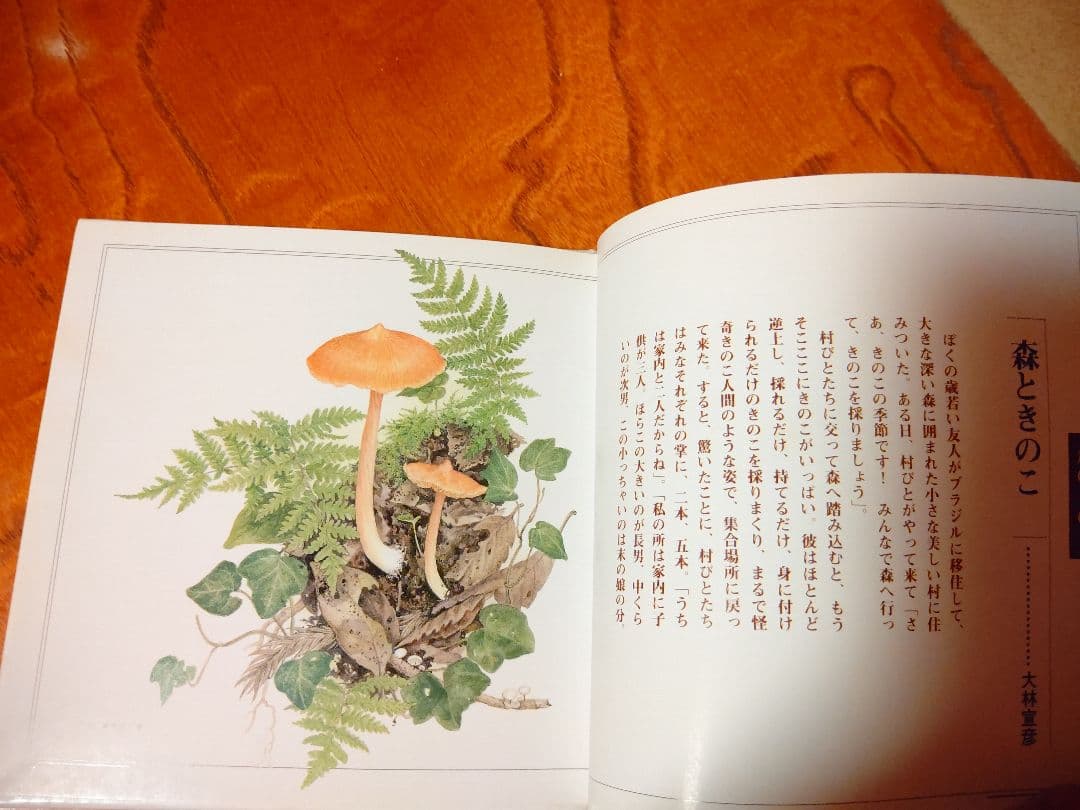 『南アルプス 白州 1』森の水 森の鳥 森のきのこ サントリー白州蒸溜所 稀覯本