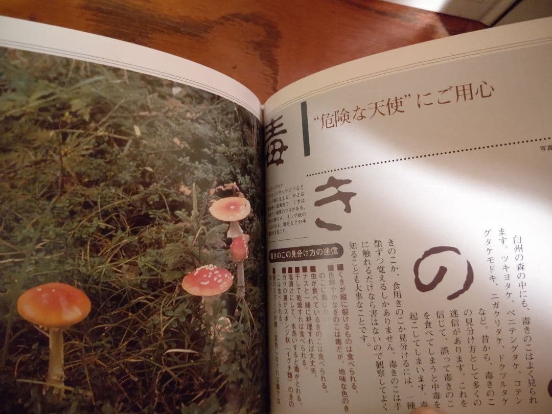 『南アルプス 白州 1』森の水 森の鳥 森のきのこ サントリー白州蒸溜所 稀覯本