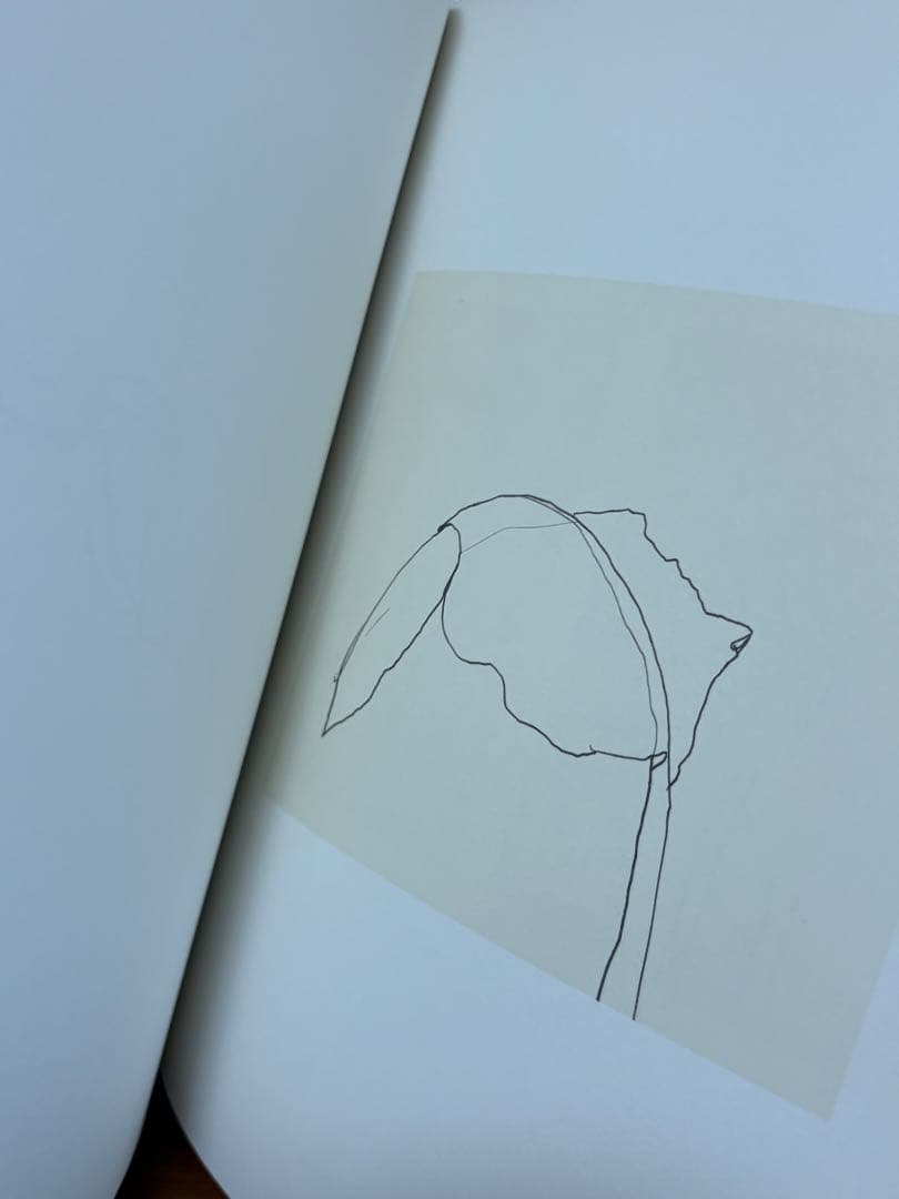 アート・デザイン・音楽 Ellsworth Kelly Plant Drawings