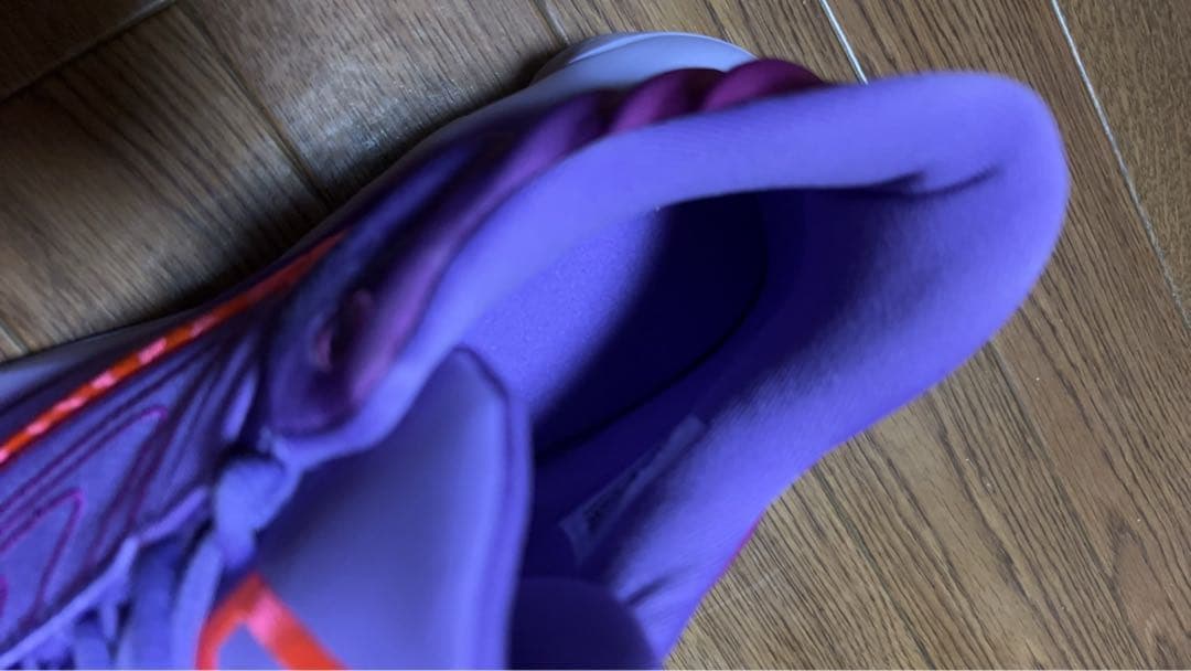 Nike バスケットボールシューズ 紫色