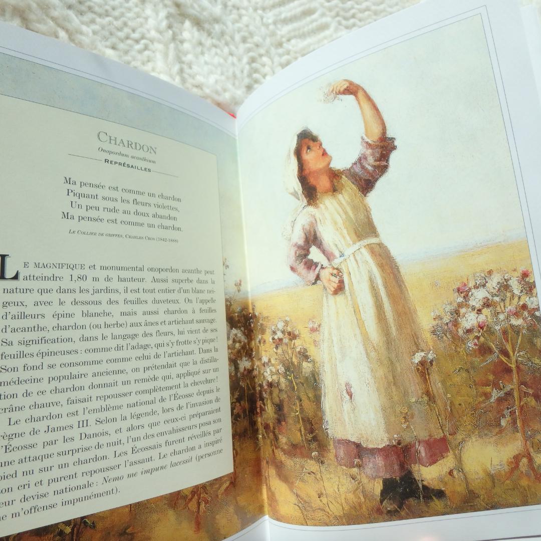 Le Langage des Fleaurs Sauvages　花言葉　仏語洋書