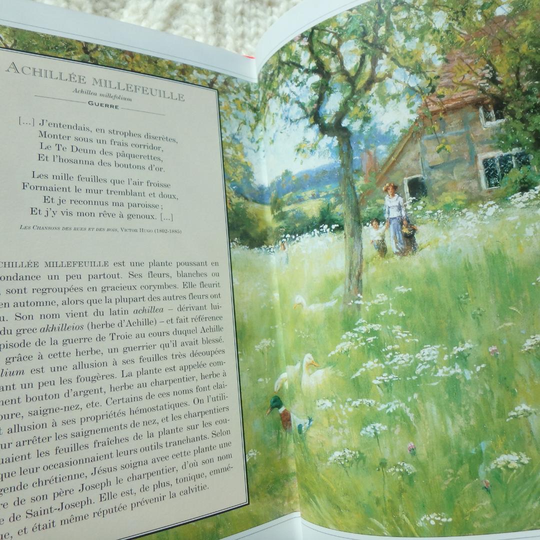 Le Langage des Fleaurs Sauvages　花言葉　仏語洋書