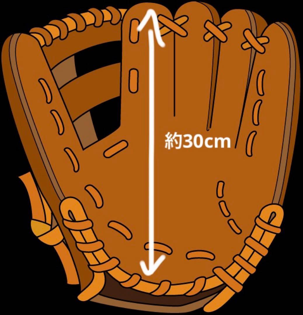 Mizuno Pro 硬式投手用グラブ　旧タグラベル