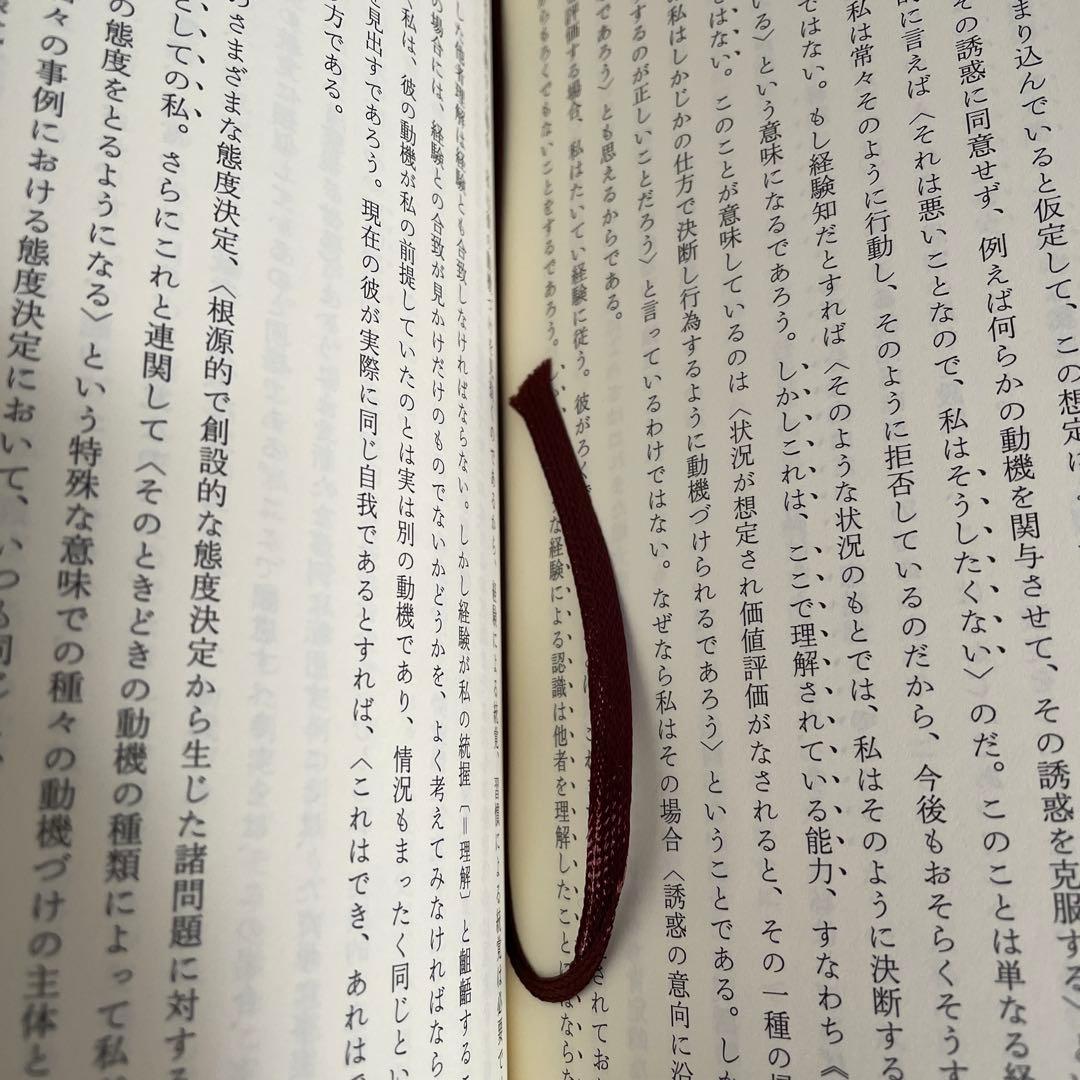 イデーン 2-2 純粋現象学と現象学的哲学のための諸構想 フッサール
