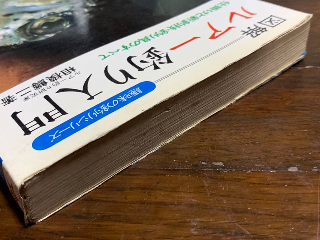 【稀少】図解 趣味の釣りシリーズ ルアー釣り入門 /相模鱒二著/新星出版社