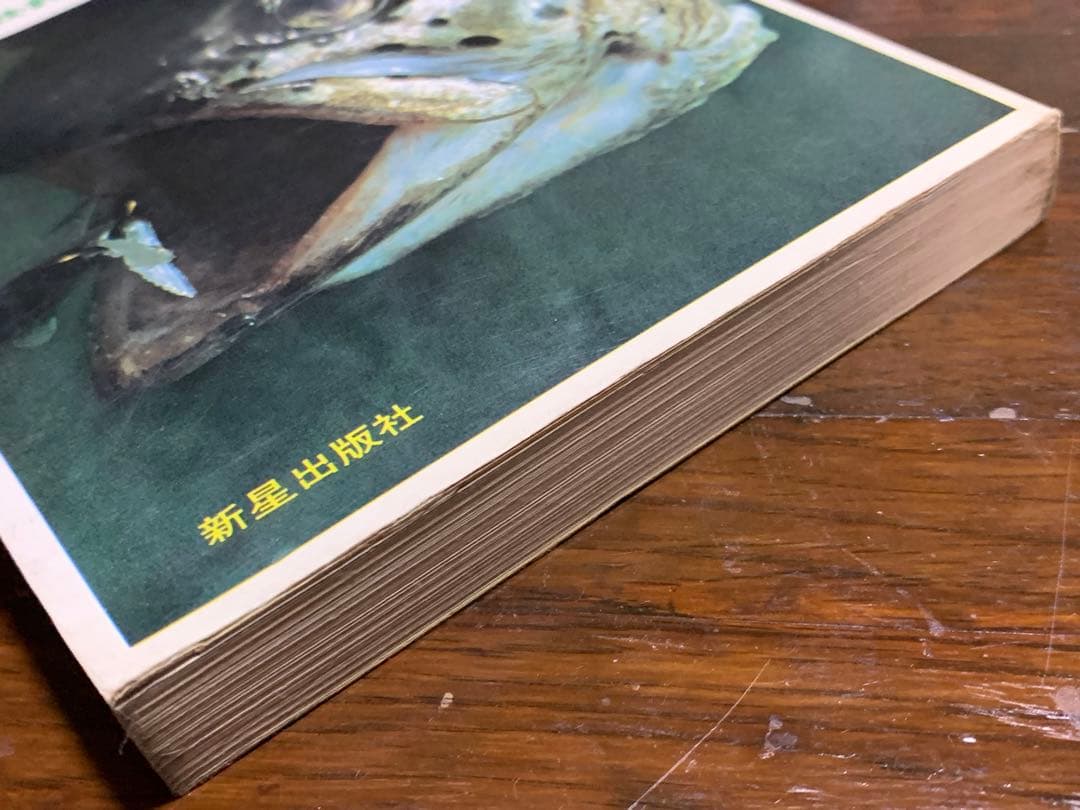 【稀少】図解 趣味の釣りシリーズ ルアー釣り入門 /相模鱒二著/新星出版社