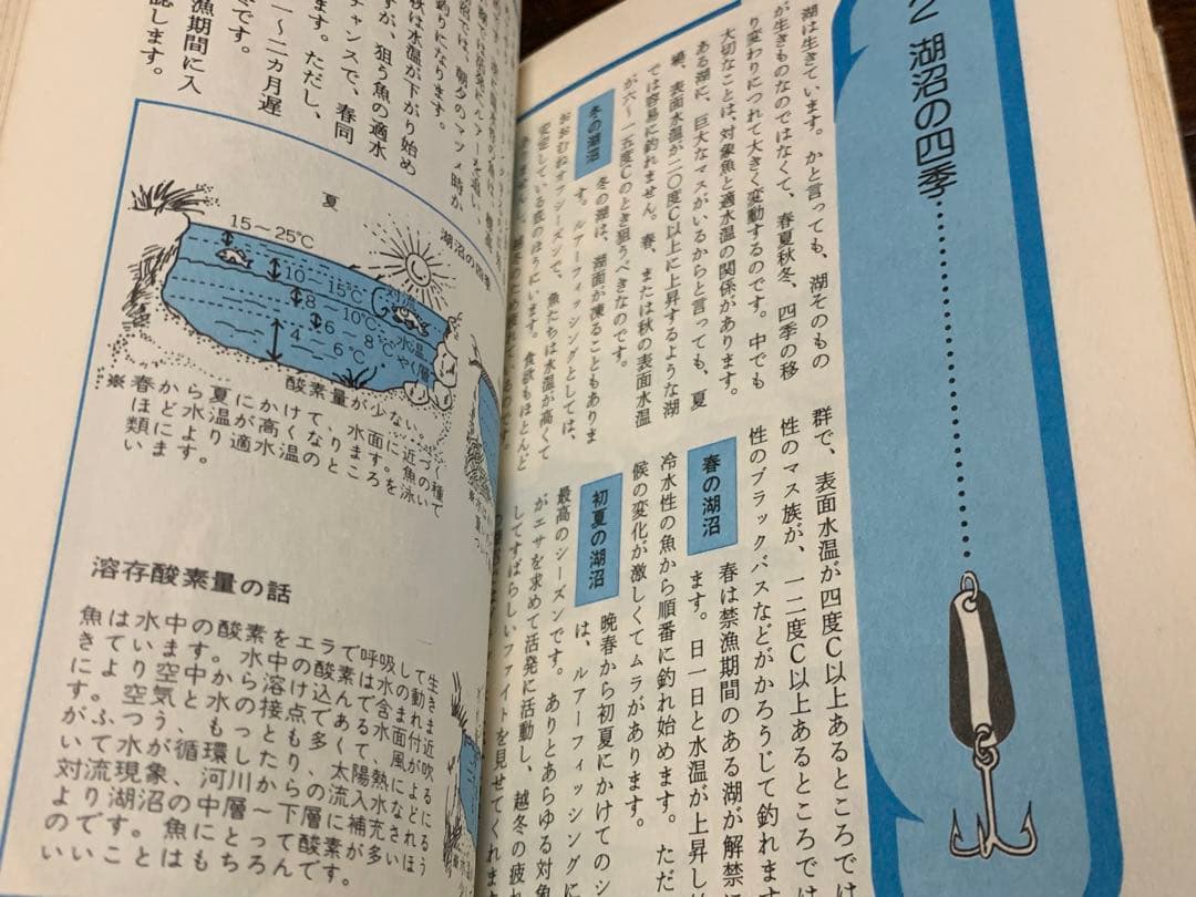 【稀少】図解 趣味の釣りシリーズ ルアー釣り入門 /相模鱒二著/新星出版社