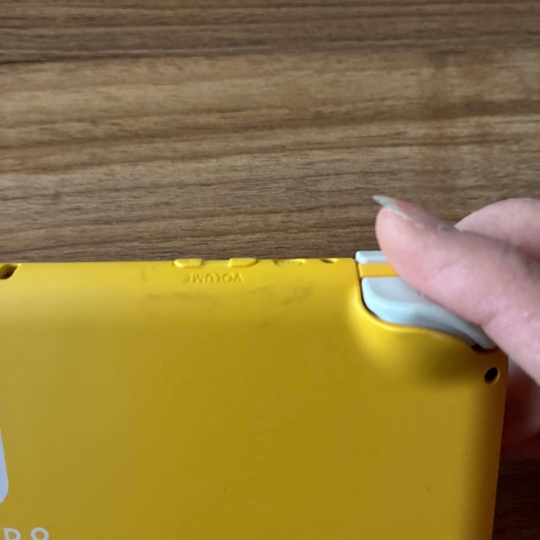 Nintendo Switch Lite　あつ森セット