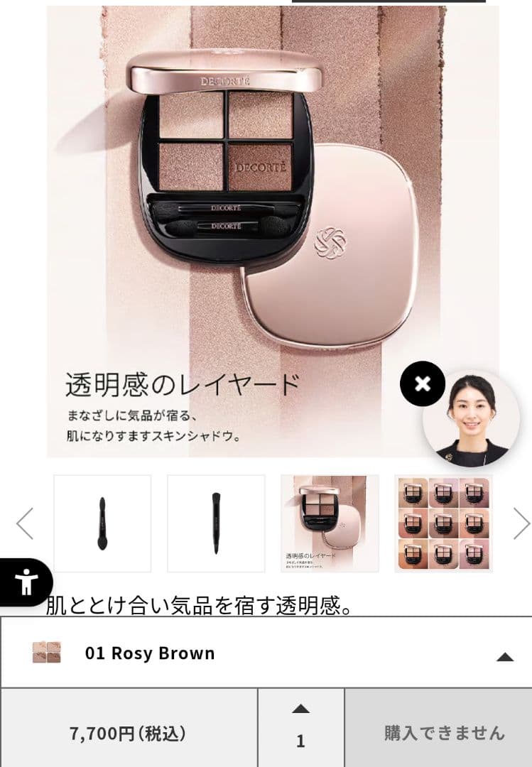 アイシャドウ DECORTE Skin Shadow Designing Eye