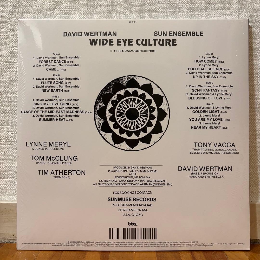 レコード David Wertman レアグルーヴ ジャズ ソウル ファンク