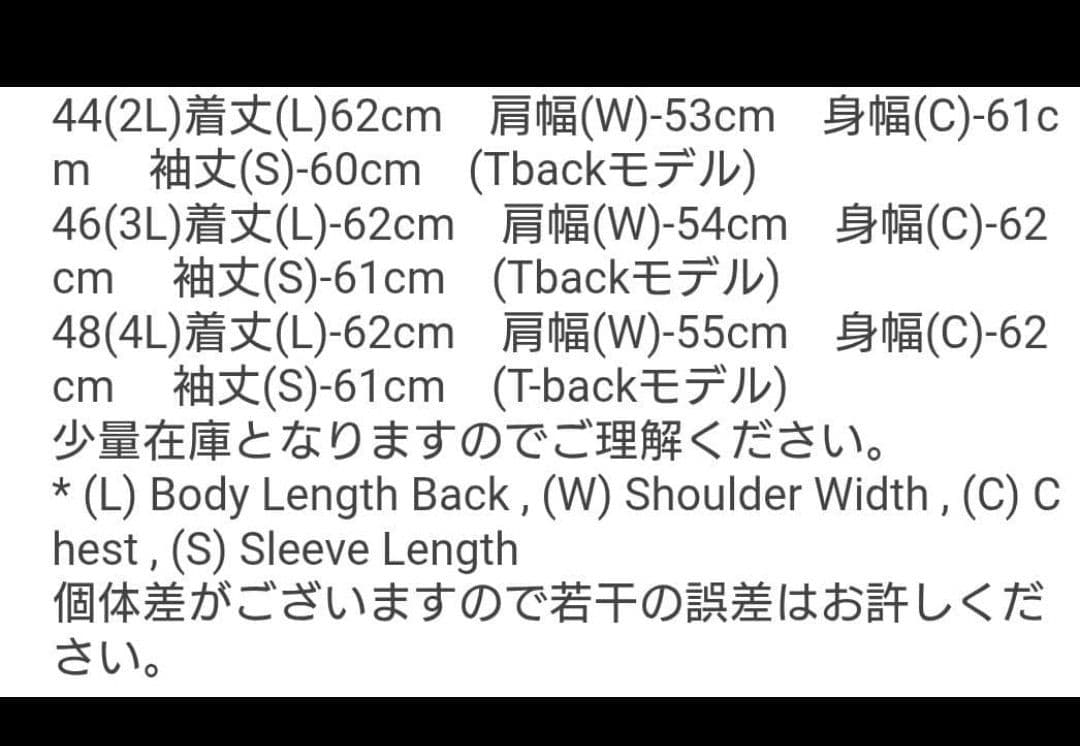 46ウエアハウスWAREHOUSE DD-S2001XX 　ジャンキースタイル