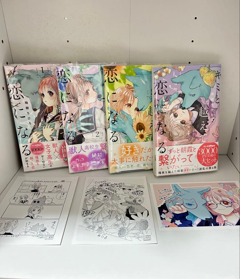 少女漫画 TL漫画 まとめ売り 特典付き 42冊セット