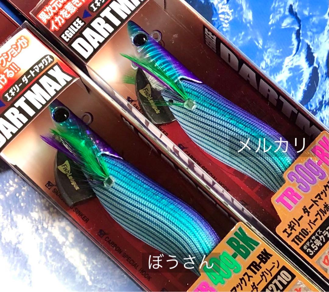 エギリー　ダートマックスTR-BK TR10 パープルボーダーグリーン　2本新品