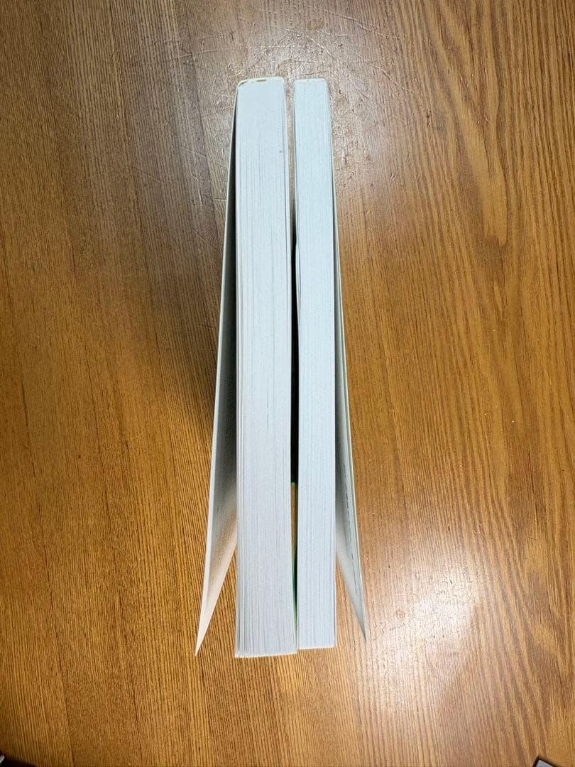 鉄緑会高3 物理の登竜門 力学・熱力学篇 電磁気学・原子物理篇 2冊2025年度