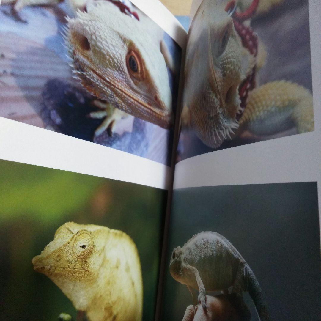 PHOTO ZOO BOOK写真集　THE ALFEE　坂崎幸之助