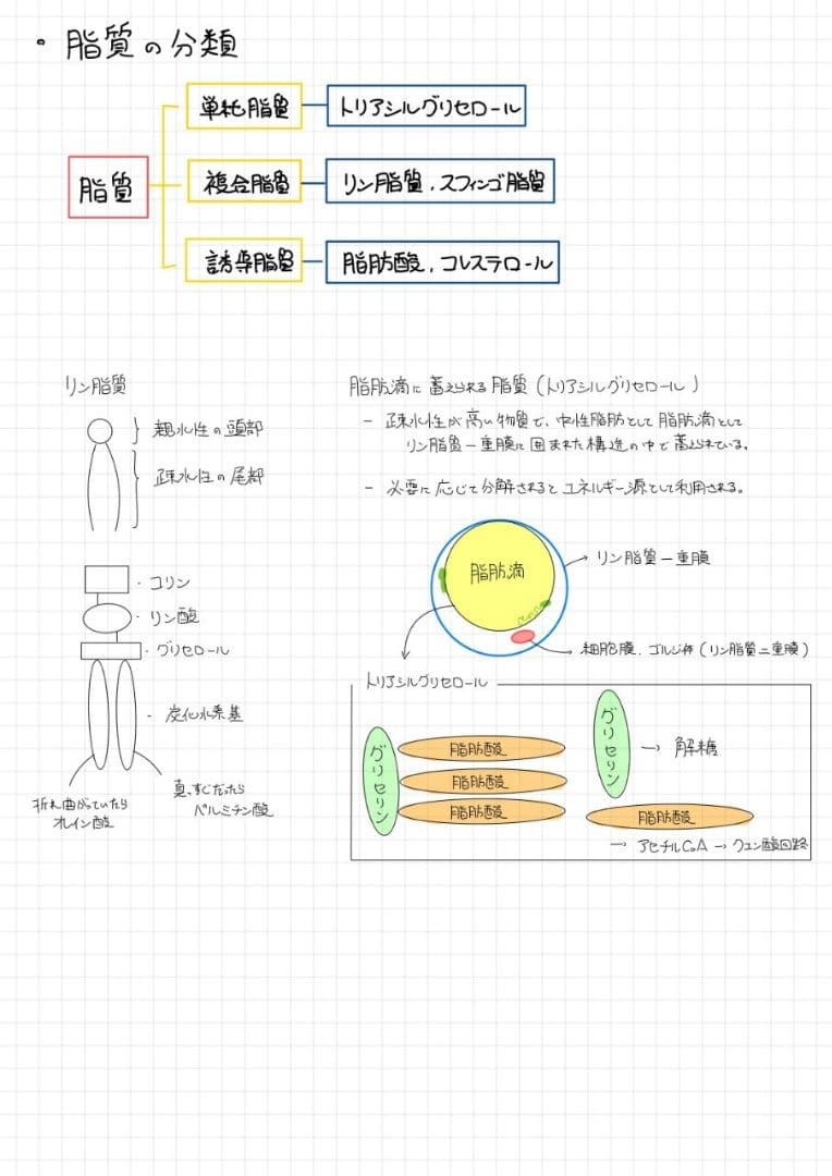※くーま エッセンシャル細胞生物学 自作問題集