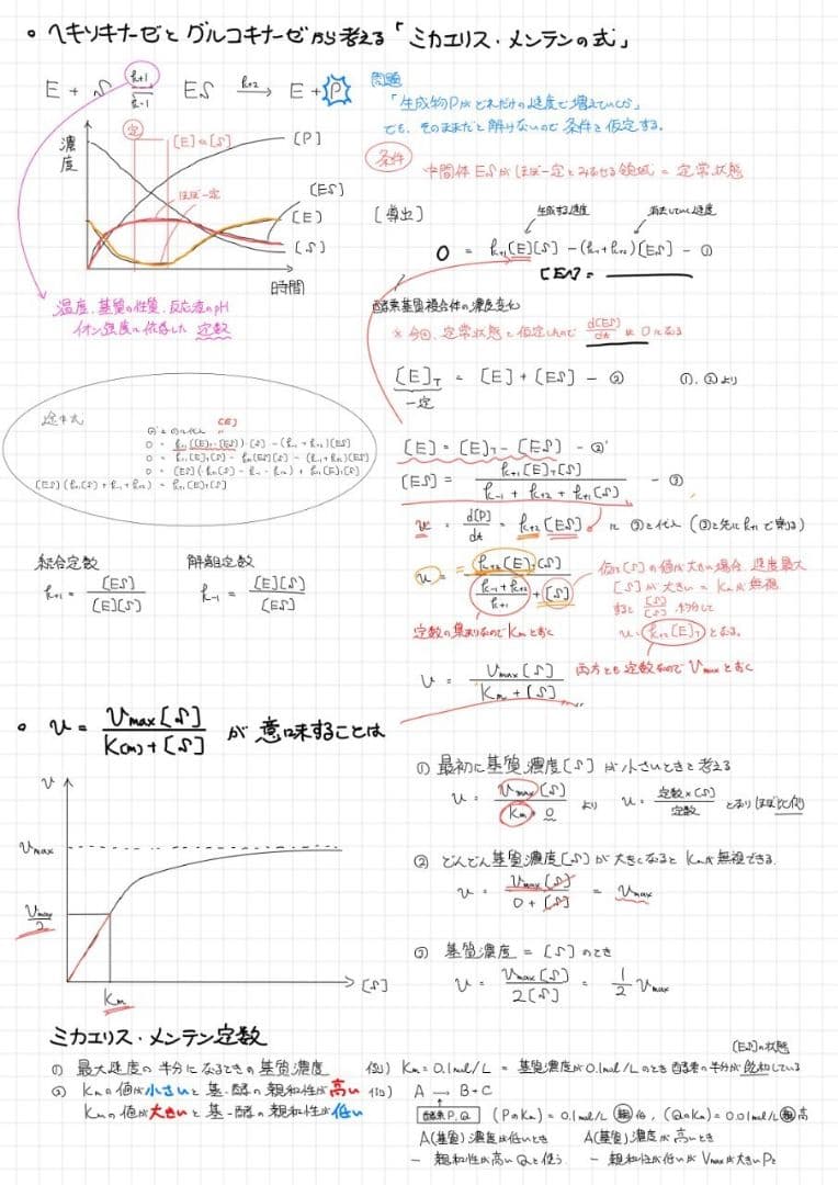 ※くーま エッセンシャル細胞生物学 自作問題集