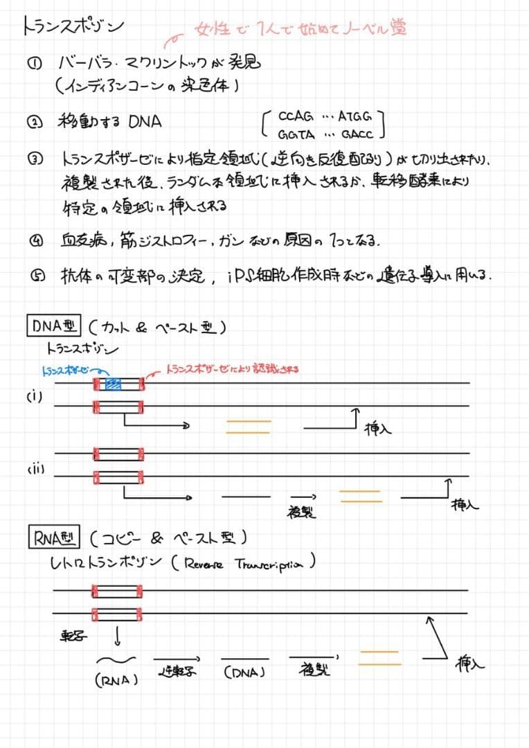 ※くーま エッセンシャル細胞生物学 自作問題集