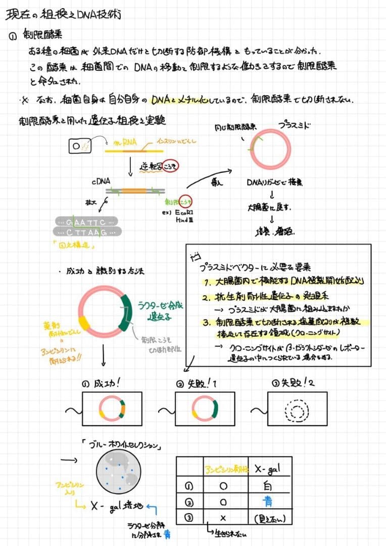 ※くーま エッセンシャル細胞生物学 自作問題集