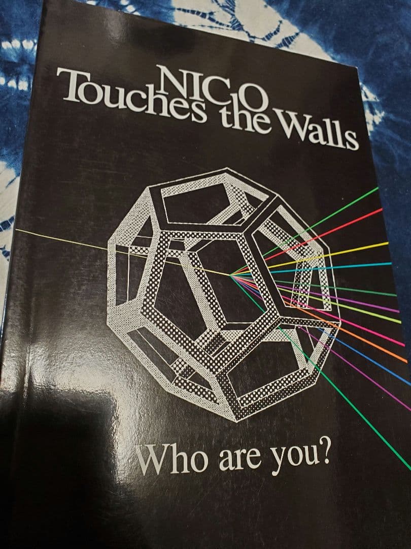 アート・デザイン・音楽 NICO Touches the Walls - Who are you?
