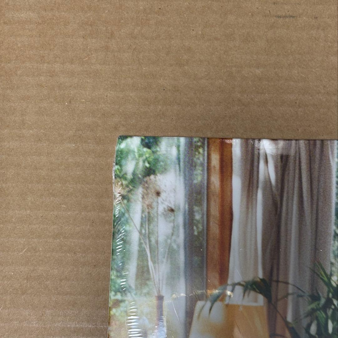 Olivia Dean レコード The art of loving LP